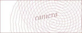 bot captcha