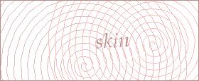 bot captcha