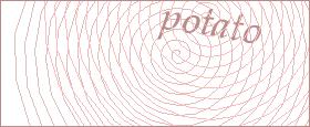 bot captcha