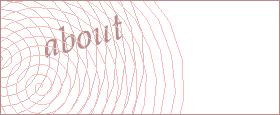 bot captcha