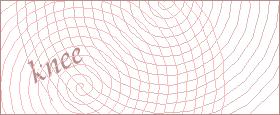 bot captcha