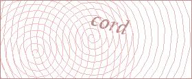 bot captcha